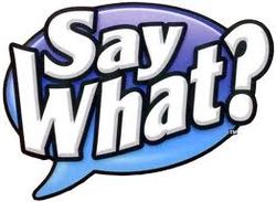 Say-What