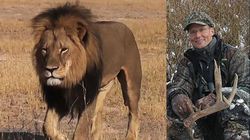 Cecil-lion-hunter-palmer
