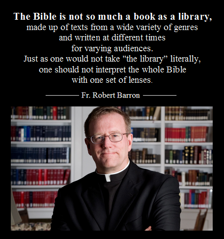 RobertBarronReadingtheLibrary